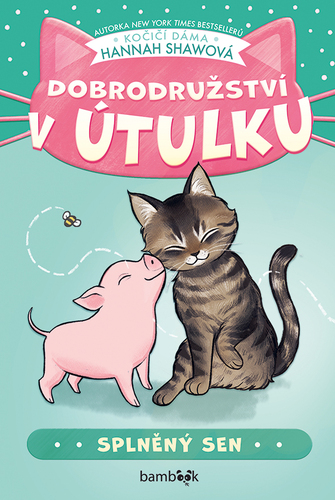 Dobrodružství v útulku Splněný sen